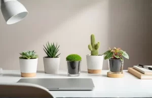 Plantas Miniatura: Espécies Micro que Transformam Escrivaninhas Pequenas